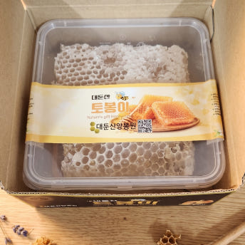 토종 벌집꿀 집채꿀 500g